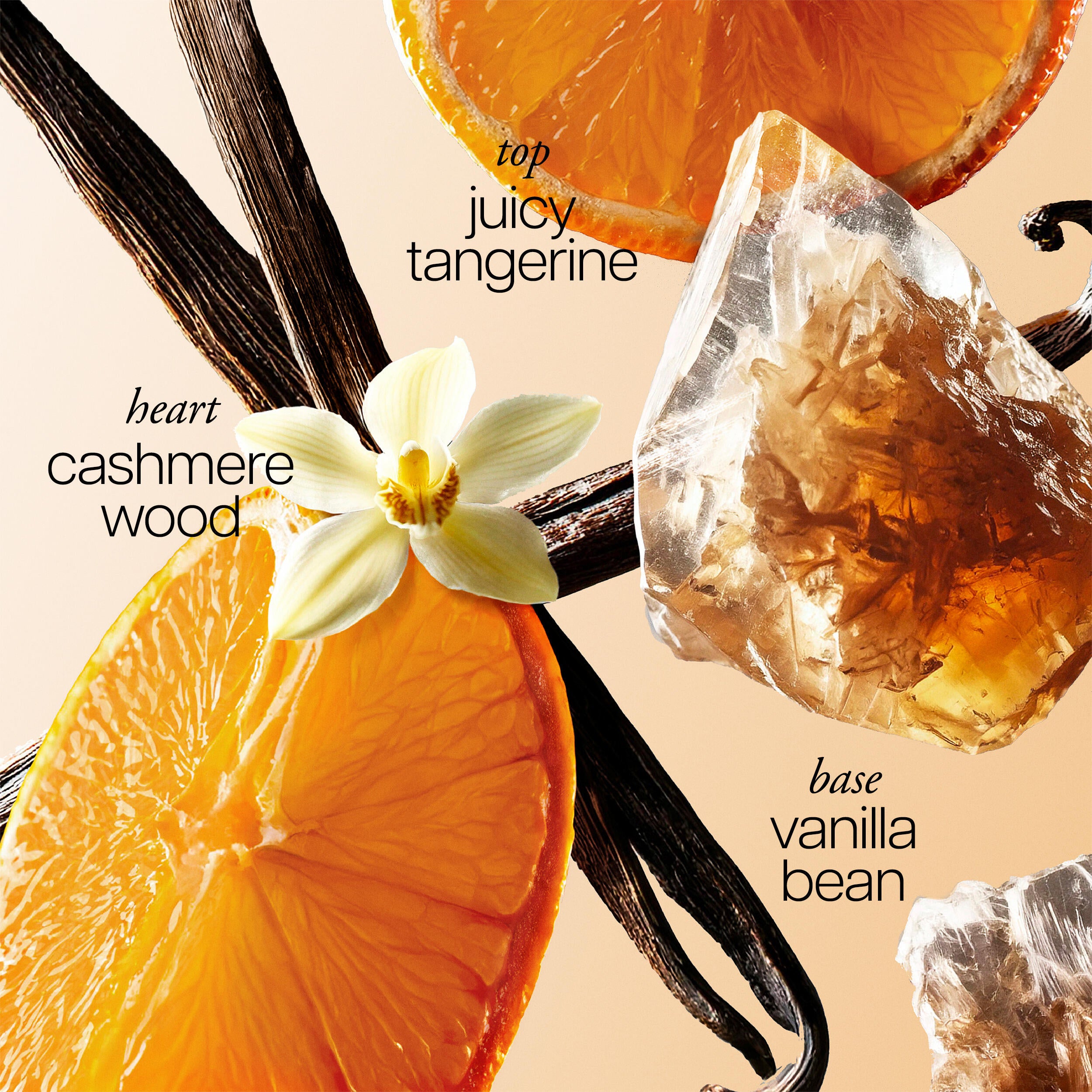 warm cashmere eau de toilette | philosophy